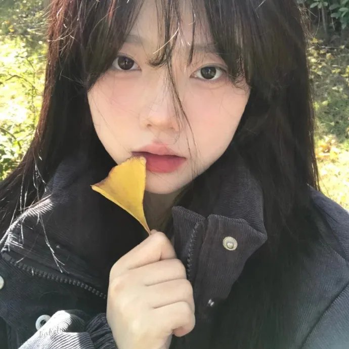 南波万的聚会第二季